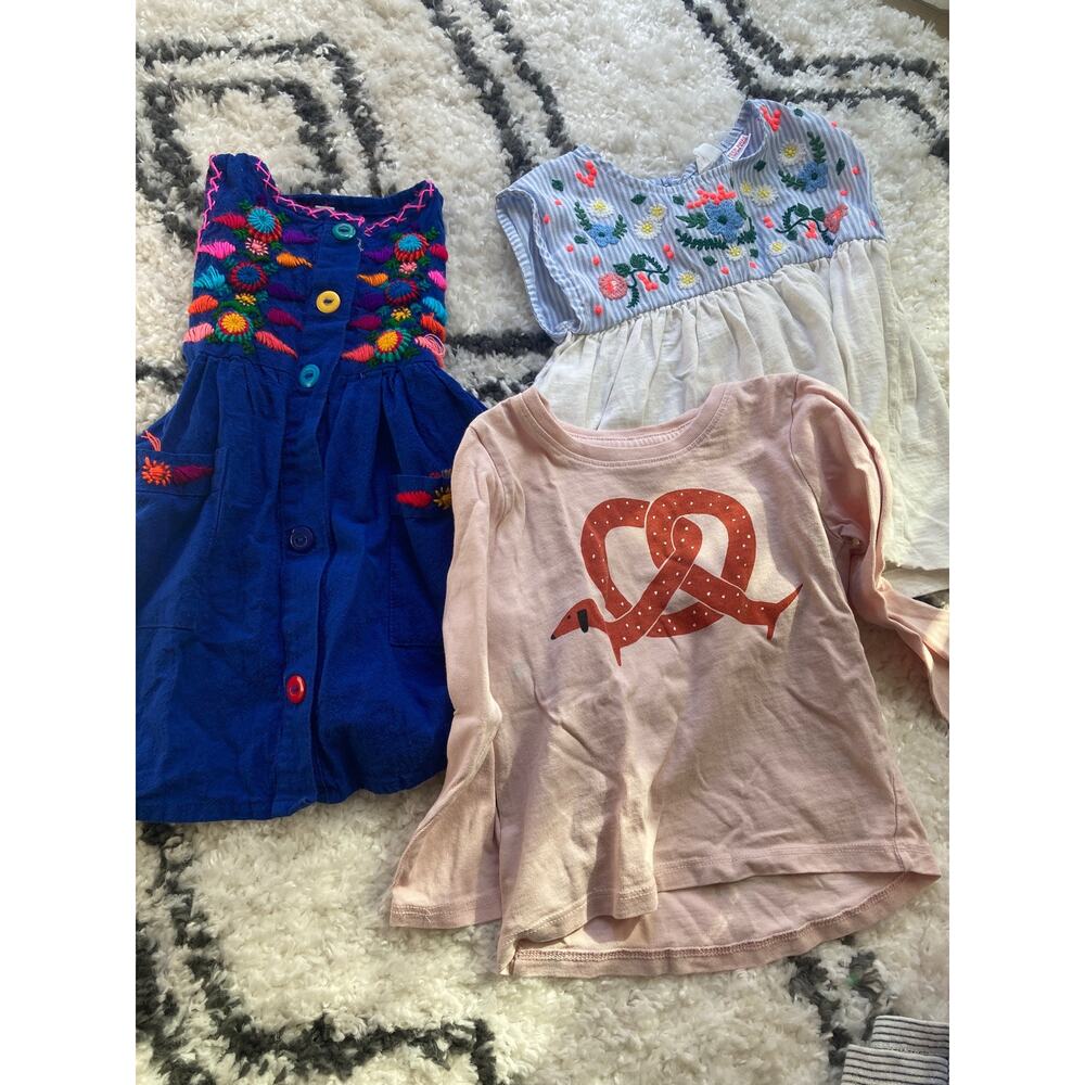 Girls Clothing Lot 9 Pieces Sz 18mo- 3 years Stella Zara OshKosh Tea Blouse Ts